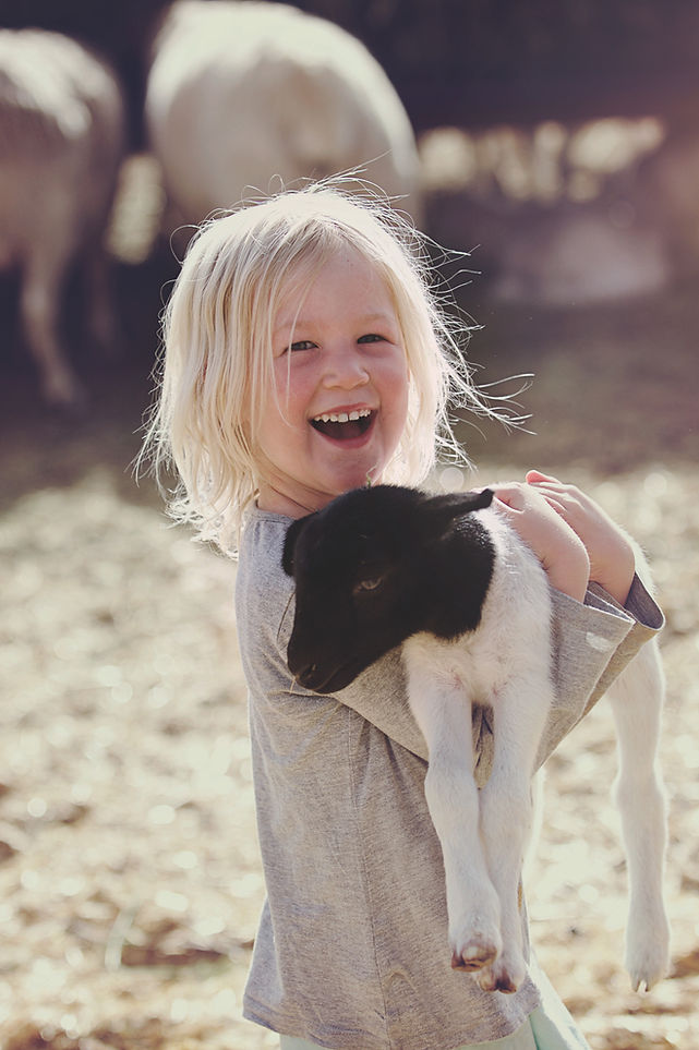 Girl Holding Lamb